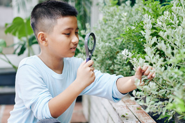 Similar image 20794966