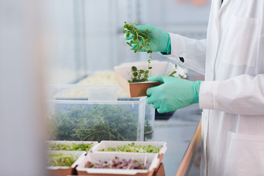 Similar image 20814526