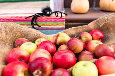 Similar image 20818987