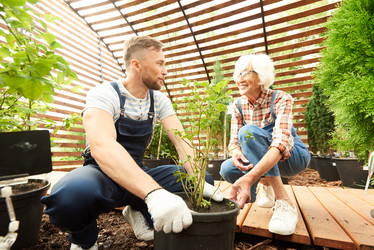 Similar image 20868677