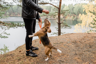 Similar image 20885273