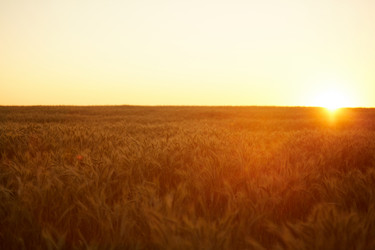 Similar image 20811287