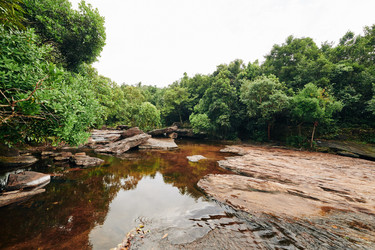 Similar image 20882002