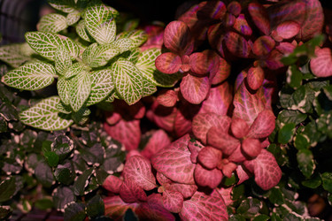 Similar image 20808306