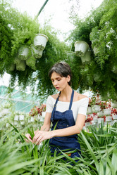 Similar image 20888124