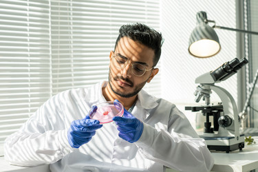 Similar image 20788731