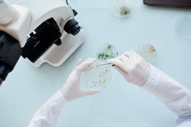 Similar image 20817541