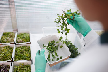 Similar image 20796641