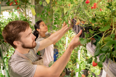 Similar image 20803687