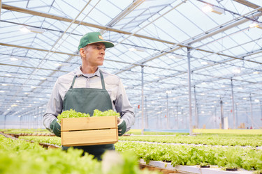 Similar image 20829616