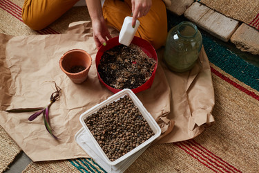 Similar image 20823088