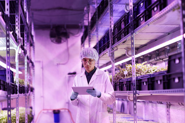 Similar image 20802006