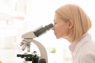 Similar image 20856074