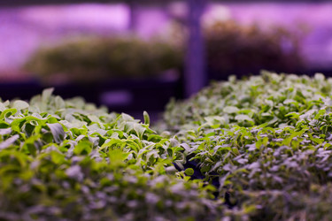 Similar image 20791802