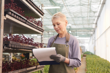 Similar image 20831026