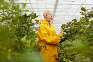 Similar image 20816805