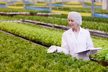 Similar image 20821027