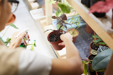 Similar image 20804369