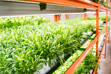 Similar image 20867971