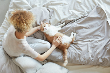 Similar image 20813189