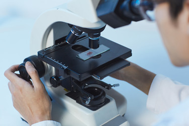 Similar image 20889280