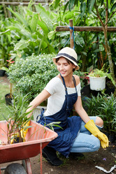 Similar image 20889305