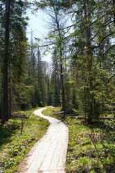 Similar image 20810888