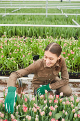 Similar image 20803076