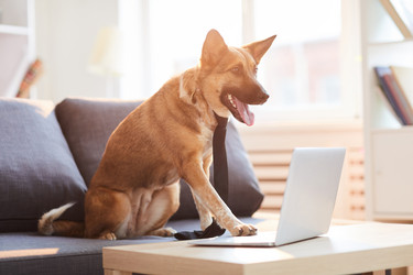 Similar image 20886018