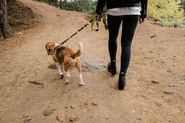 Similar image 20859468