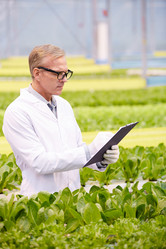 Similar image 20801558