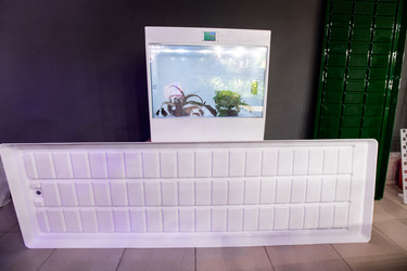 Similar image 20810291