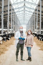 Similar image 20810617