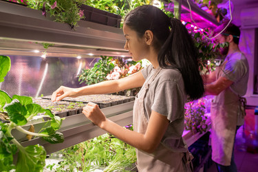 Similar image 20842245