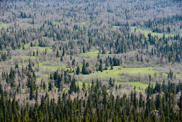 Similar image 20810227