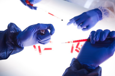 Similar image 20790664