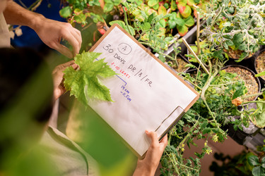 Similar image 20806969