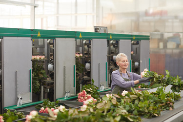 Similar image 20820762