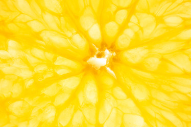 Similar image 20836139