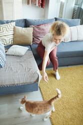 Similar image 20834067