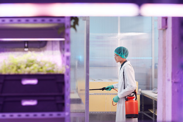 Similar image 20823370