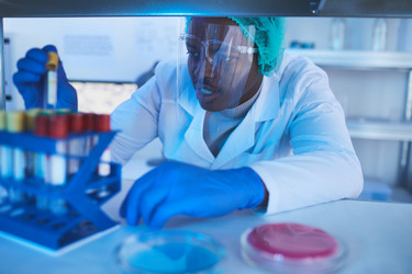 Similar image 20816011