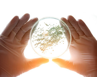 Similar image 20862680