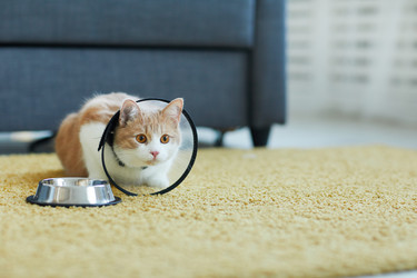 Similar image 20815900