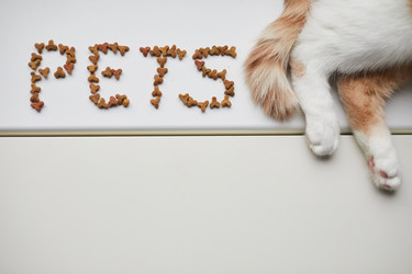 Similar image 20824545