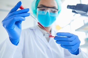 Similar image 20817334