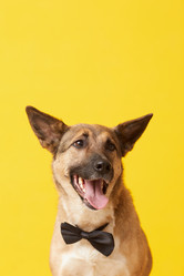 Similar image 20803729