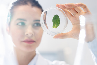 Similar image 20848383