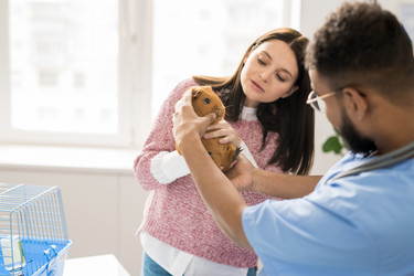 Similar image 20855147