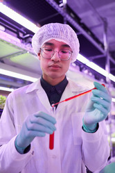 Similar image 20790516